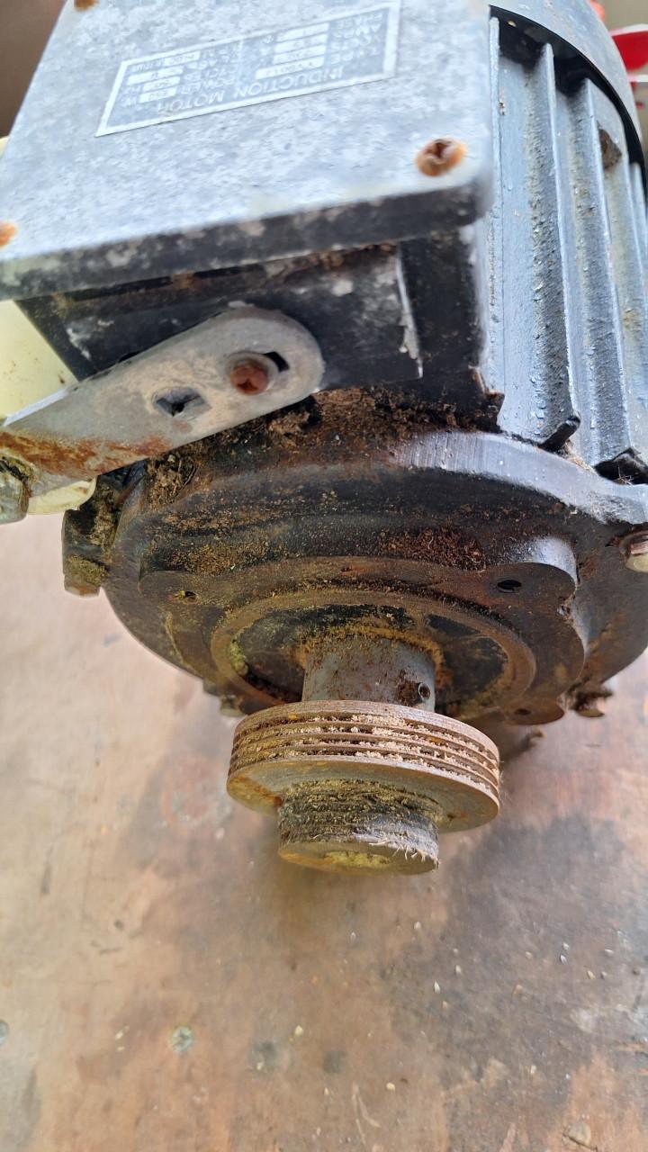Elektro motor