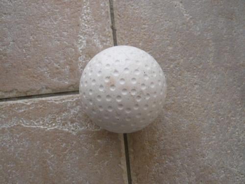 Z.G.A.N. HOCKEY BAL