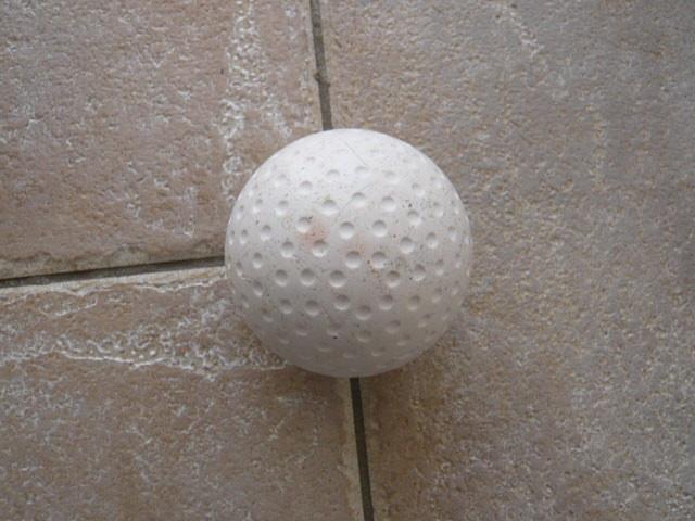 Z.G.A.N. HOCKEY BAL