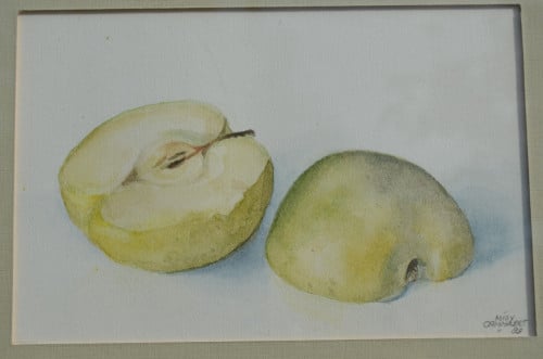 Aquarel 'Appel' Milly Cammaert '83 in goede staat.