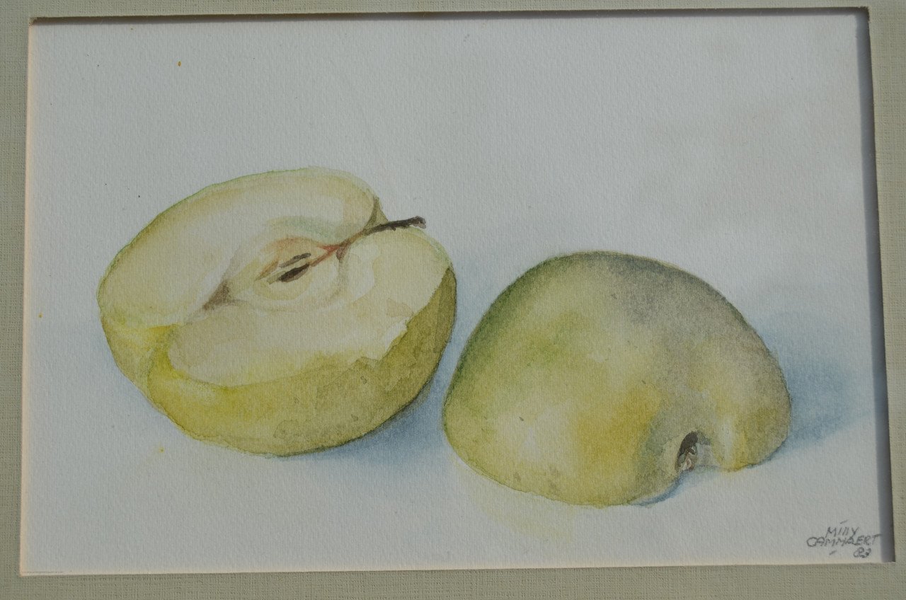 Aquarel 'Appel' Milly Cammaert '83 in goede staat.