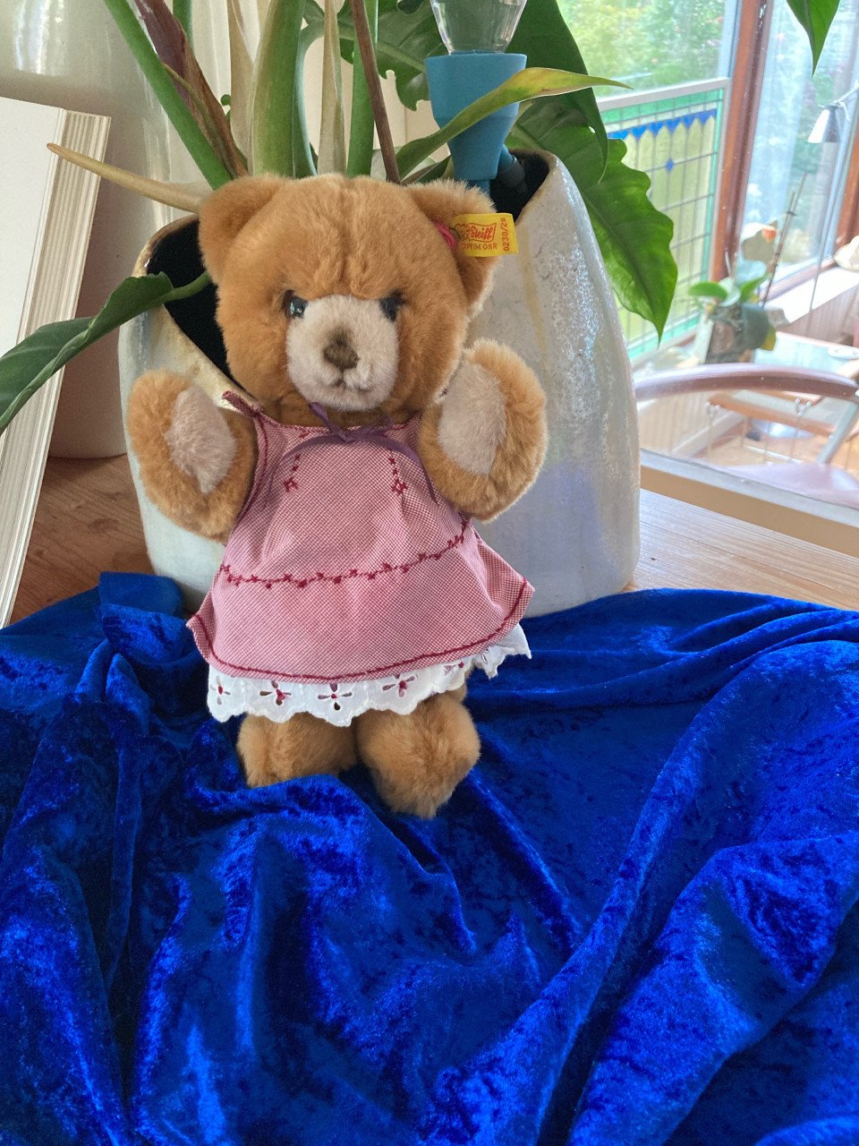 Beertje Petsy van Steiff