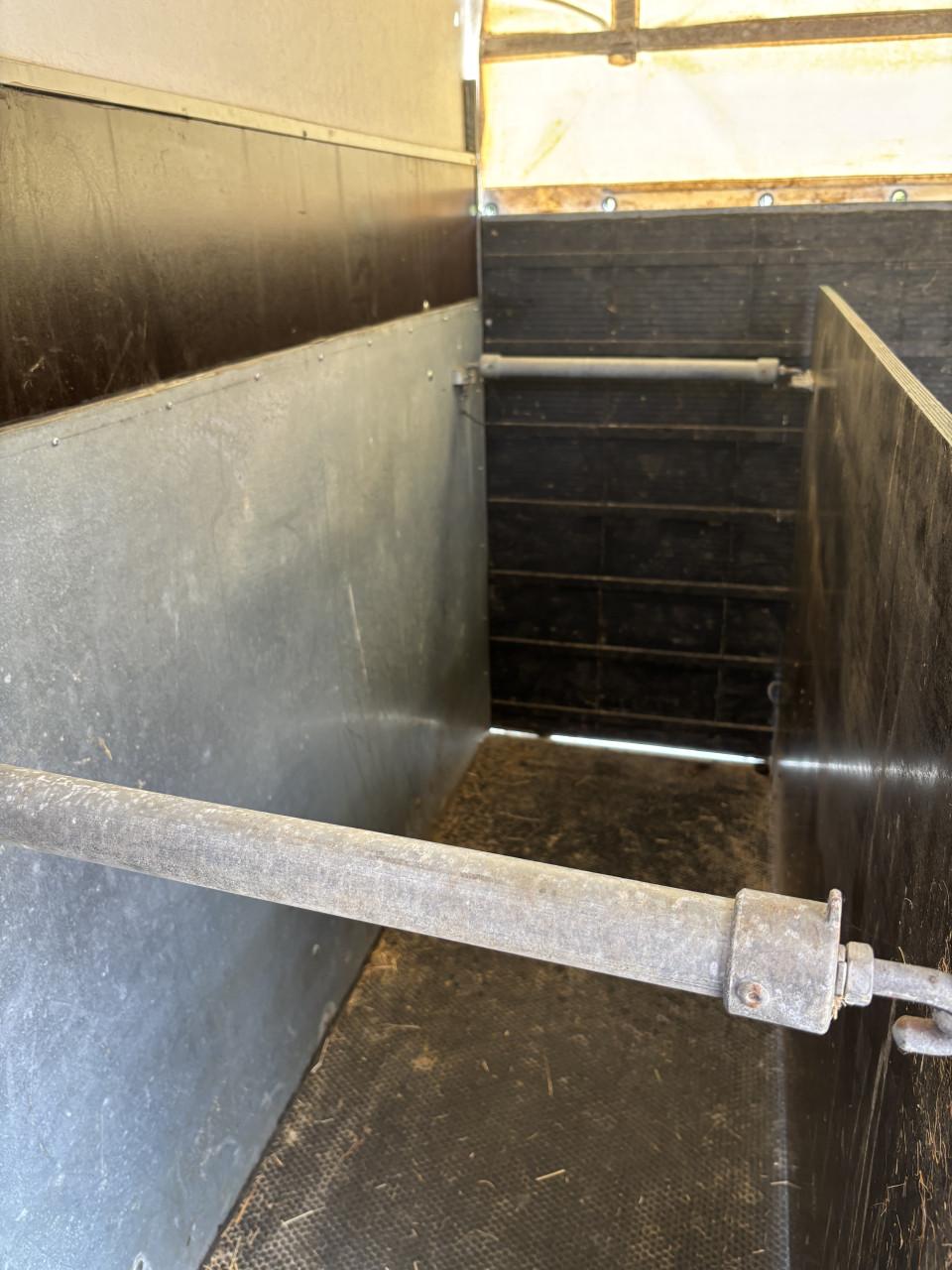 Henra Buffalo 2-paards paardentrailer