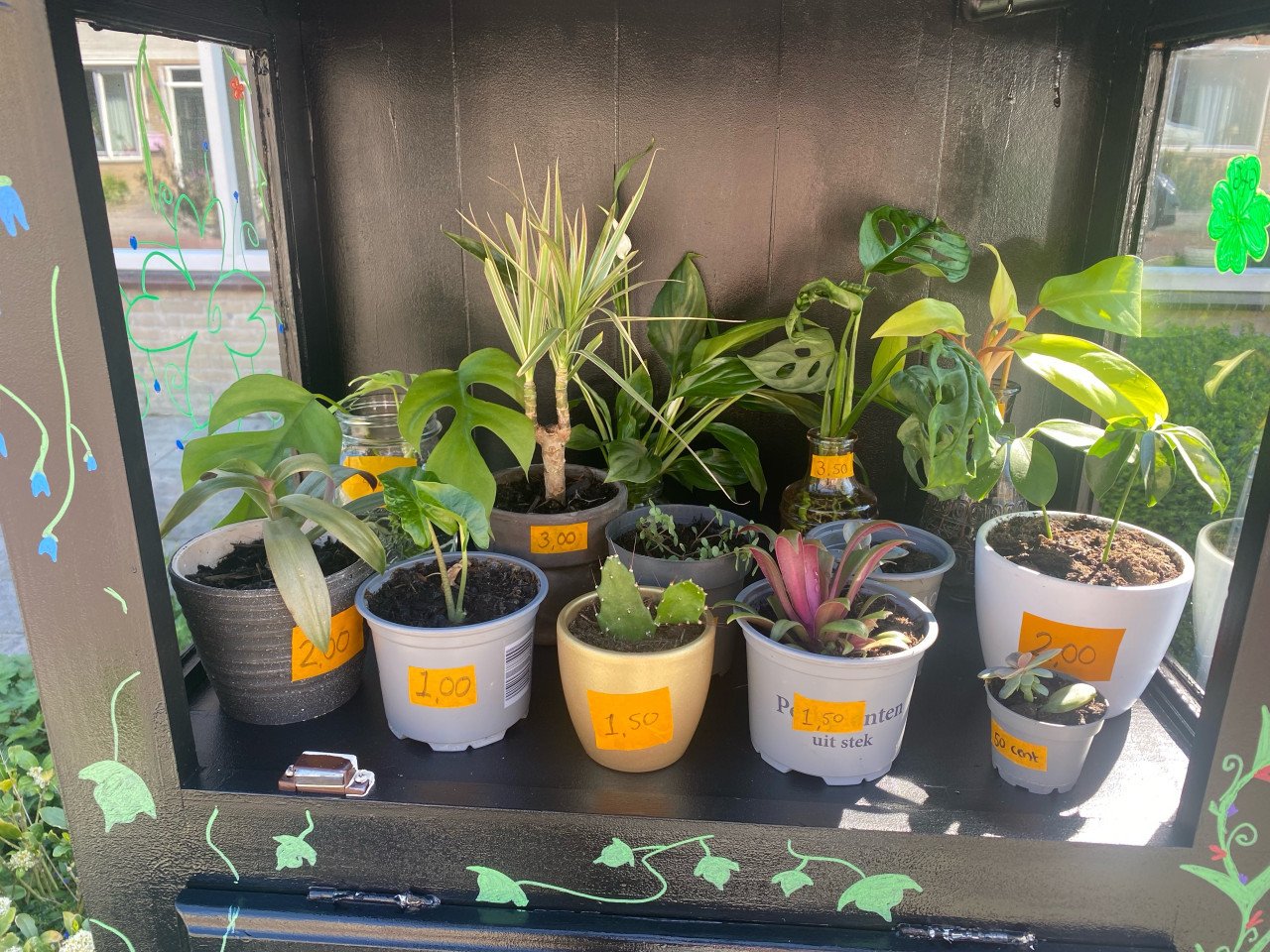 Planten en Stekjes