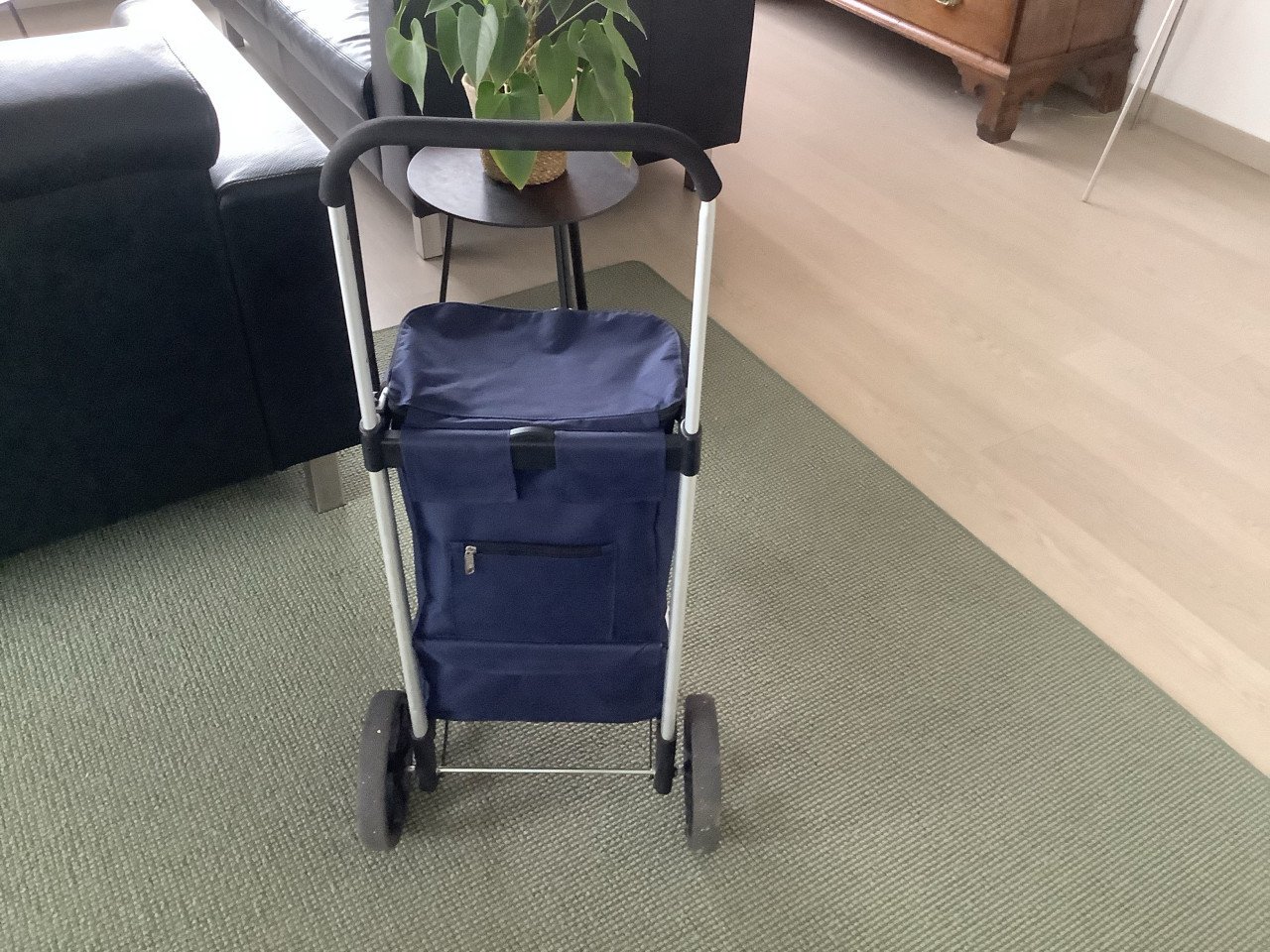 Boodschappen trolly