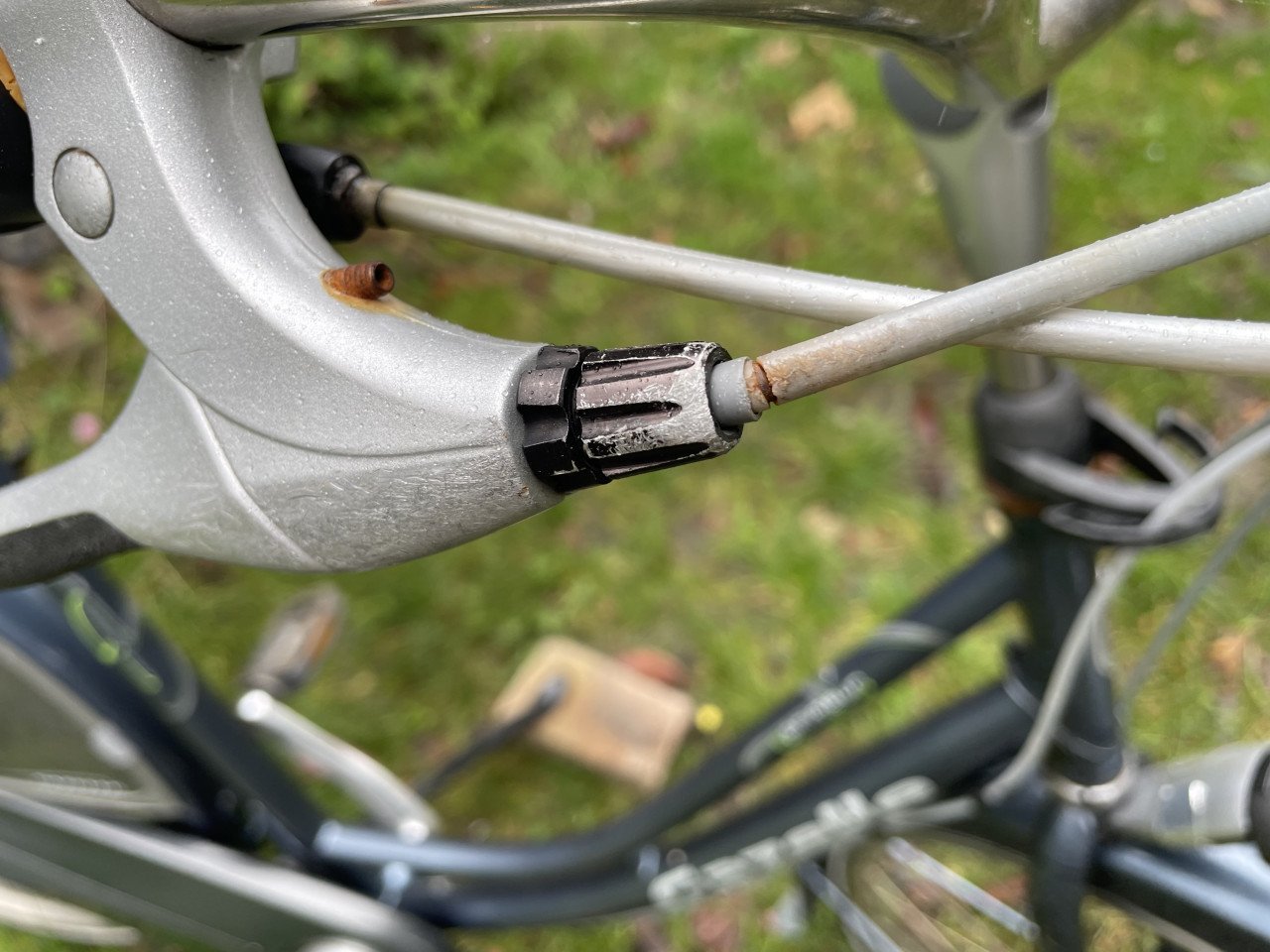 Gazelle primeur damesfiets. 7 versnellingen