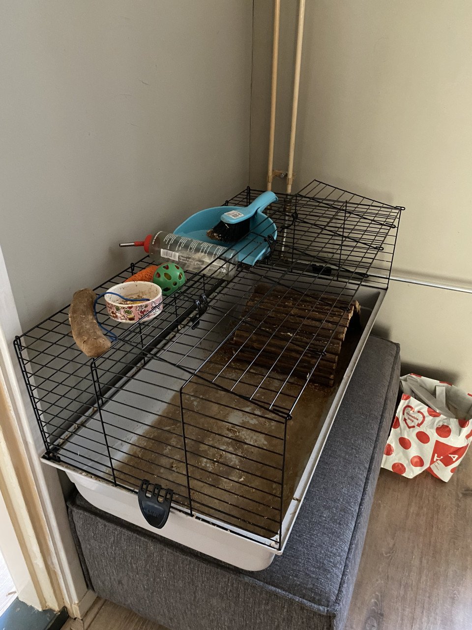 Gratis knaagdierenkooi met accessoires