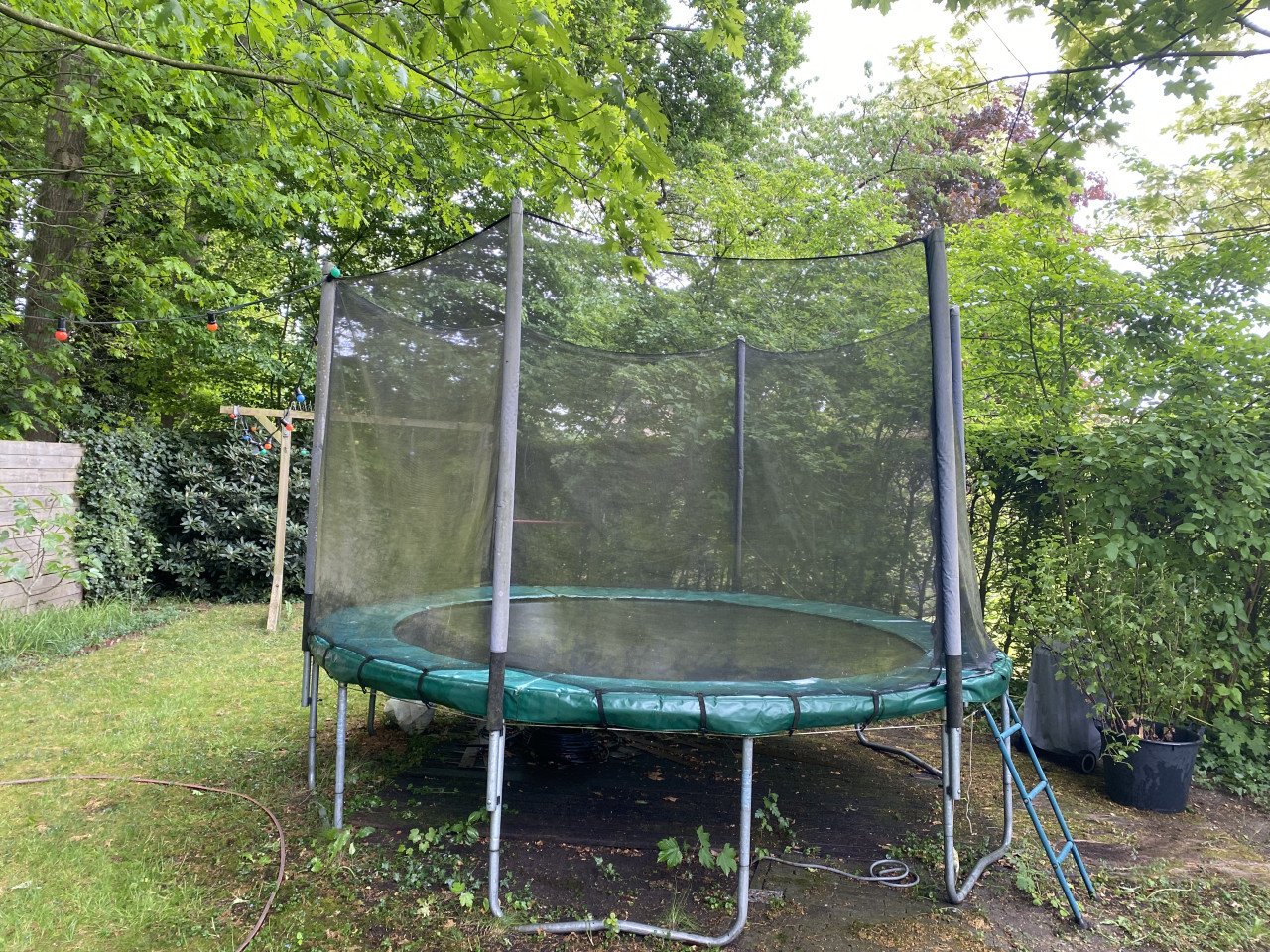 Trampoline