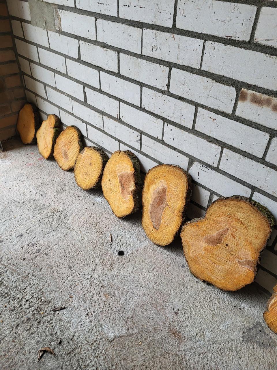 Schijven van perenbomen.