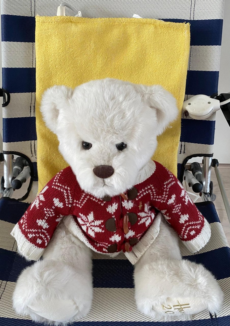 Martex elektrisch warmtekussen rug