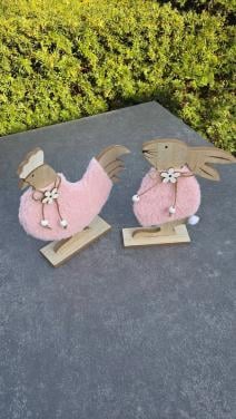 🐰 Schattige Haas en 🐔 Kip met een roze Teddy 'jasje'.
