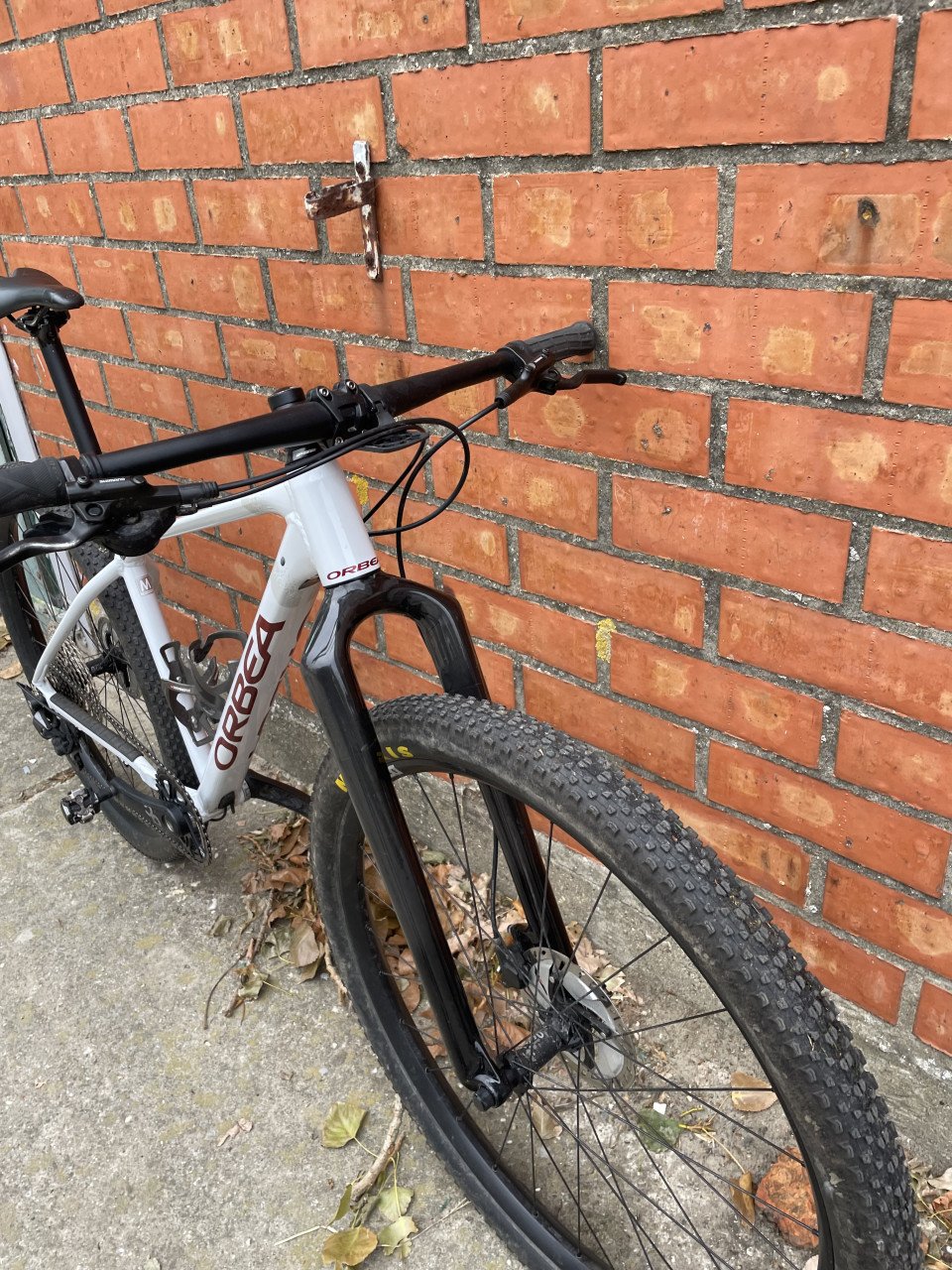 Orbea alma met carbon voorvork en dt swiss wielen