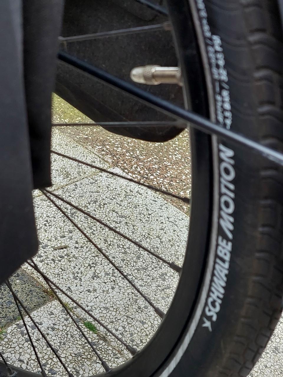 Gazelle Chamonix T10 grey/blue 53