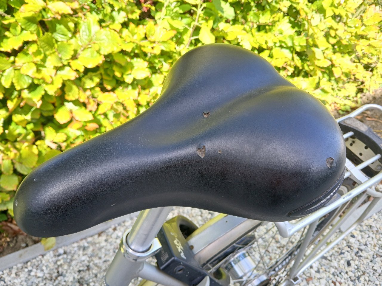 Damesfiets of meisjesfiets Altra Vision