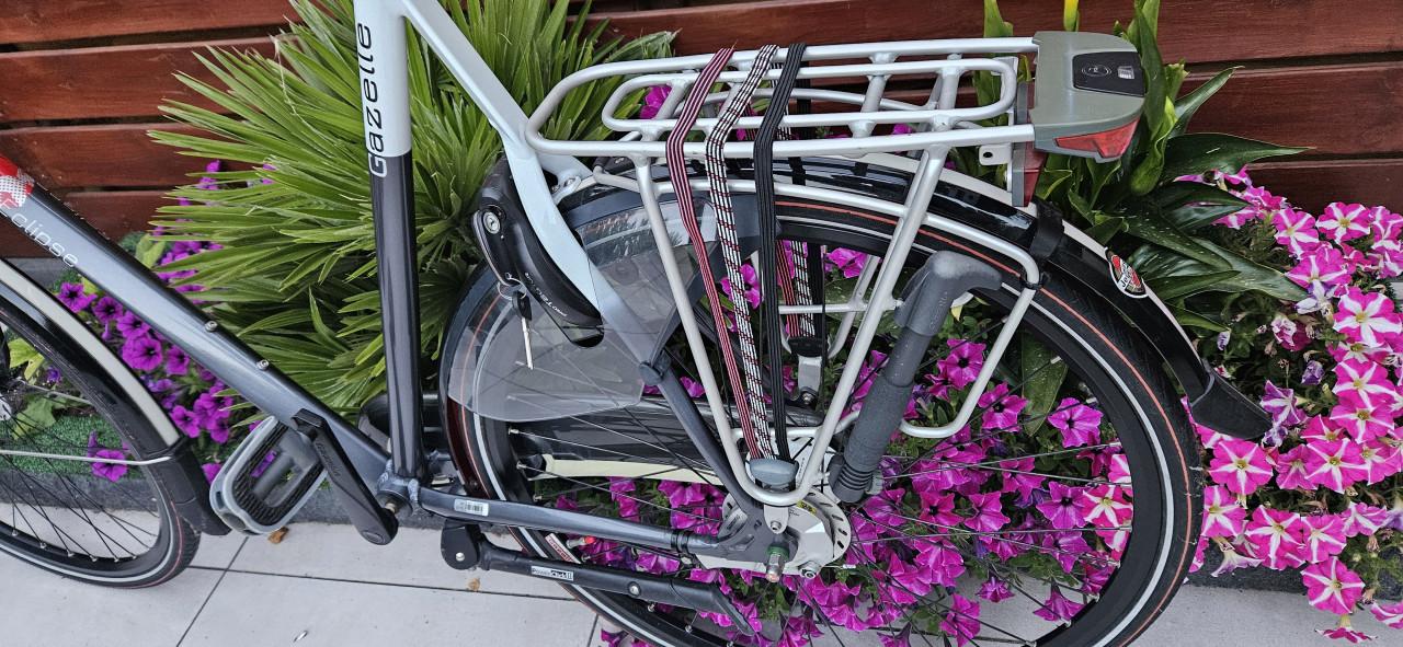 Gazelle Eclipse Limited 65 cm Herenfiets