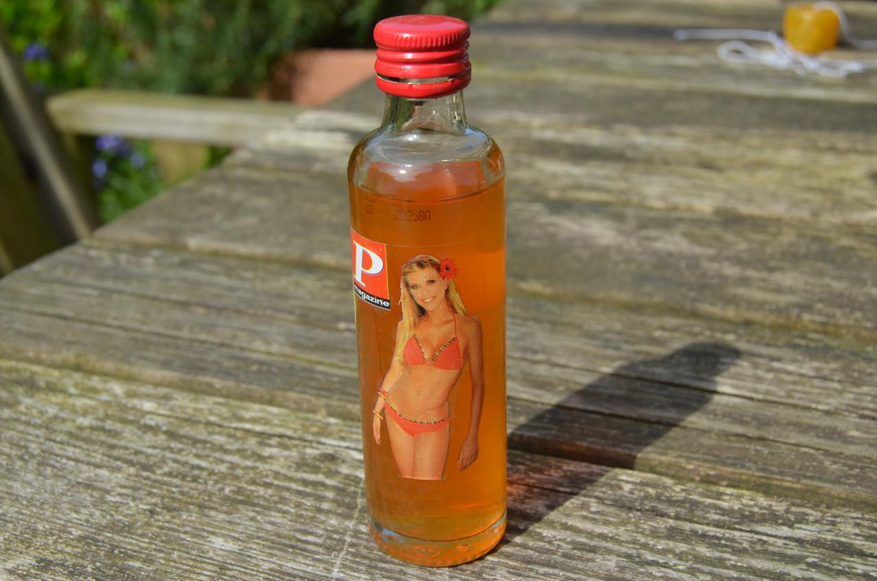 Diverse miniatuur flesjes meest Belgische jenever (2)