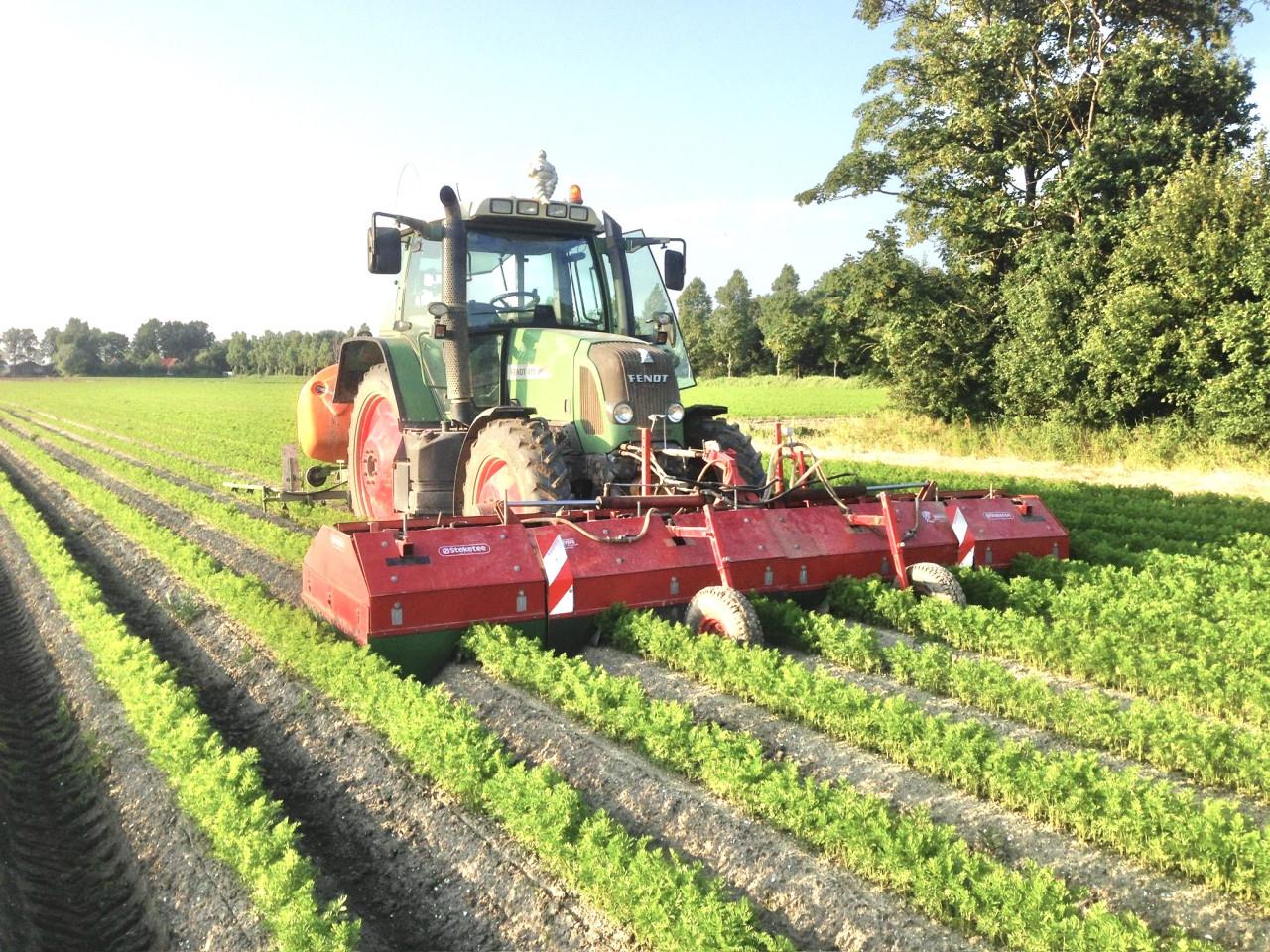 Steketee kappenspuit 6x75