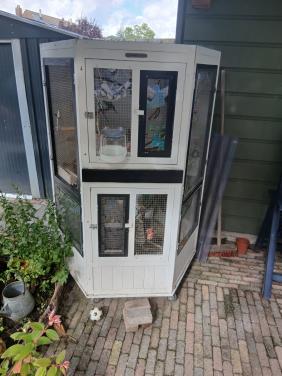 Te koop parkieten met leuke volière.