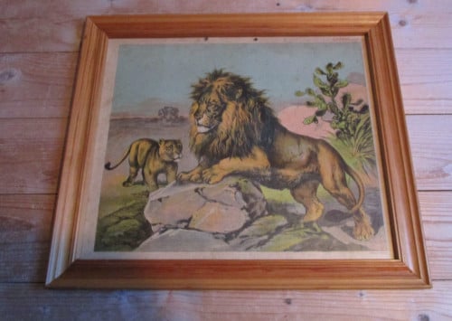 Lijst met leeuwen oude schoolprent achter glas afm:47x41cm.