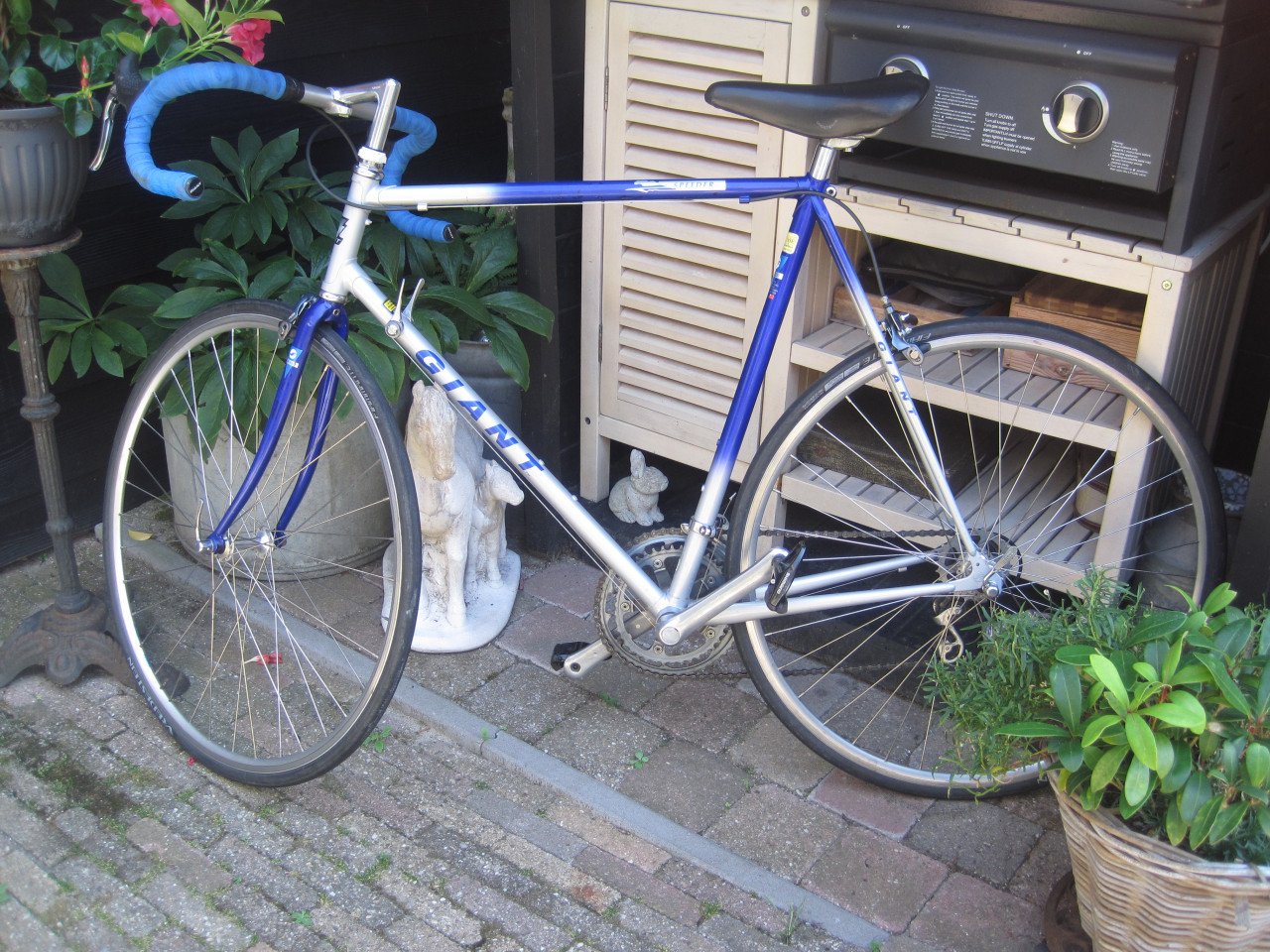 Racefiets Giant staal