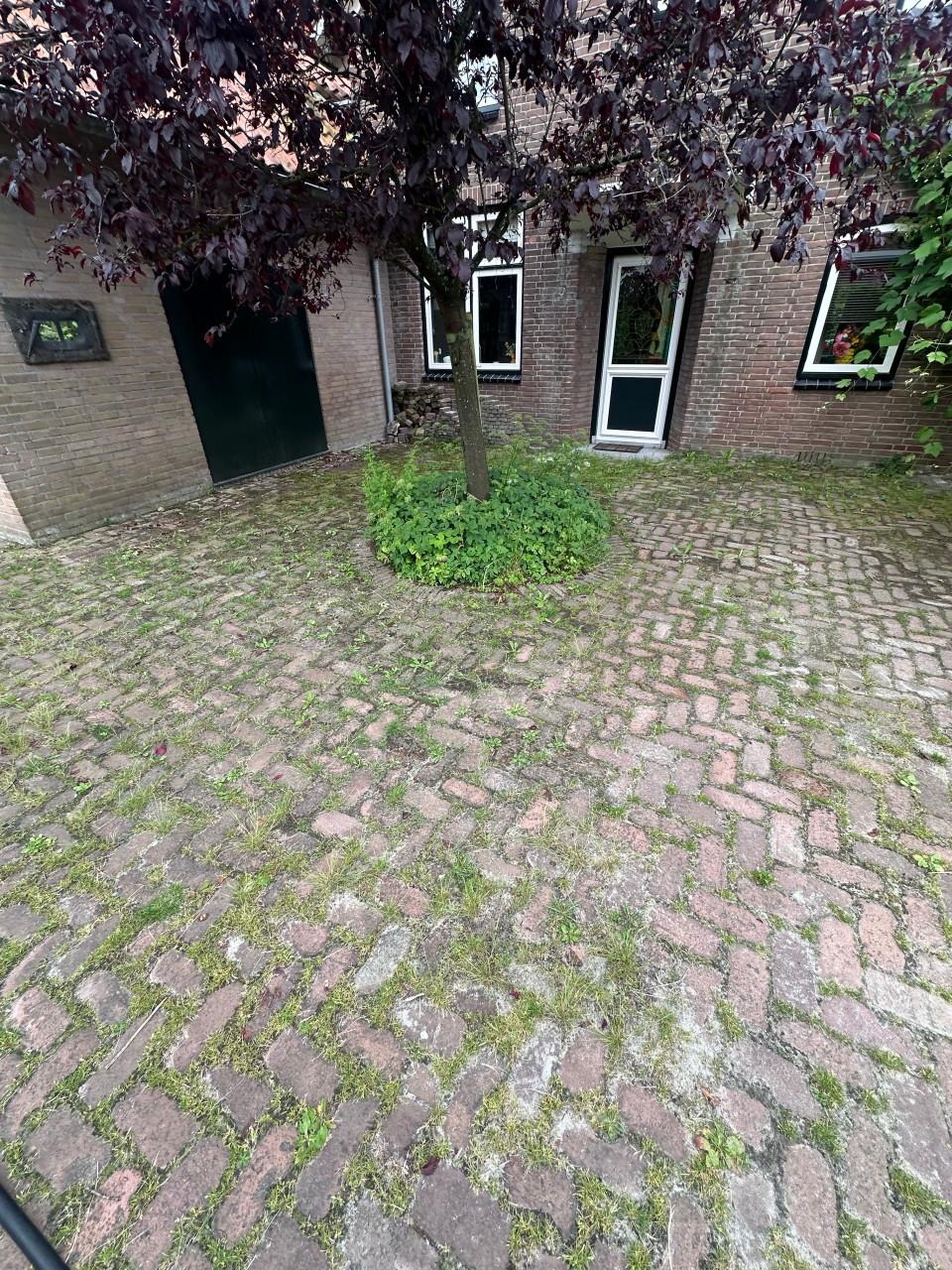 Nog deze zomer uw buitenruimte weer als nieuw? Wij staan voor u klaar!