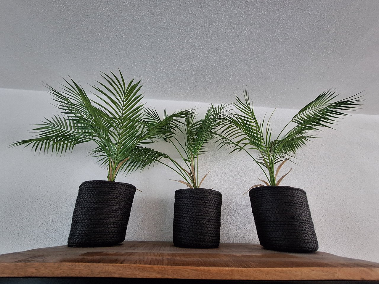 Kunstof plant met bloempot 3 delig
