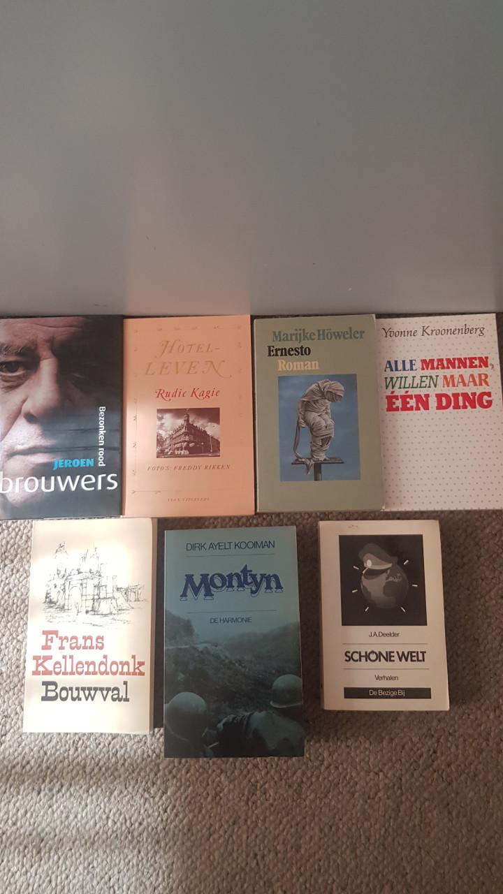 Partijtje Nederlandse romans
