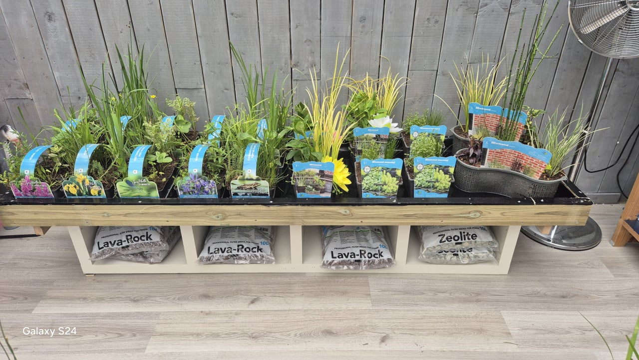 Vijverplanten