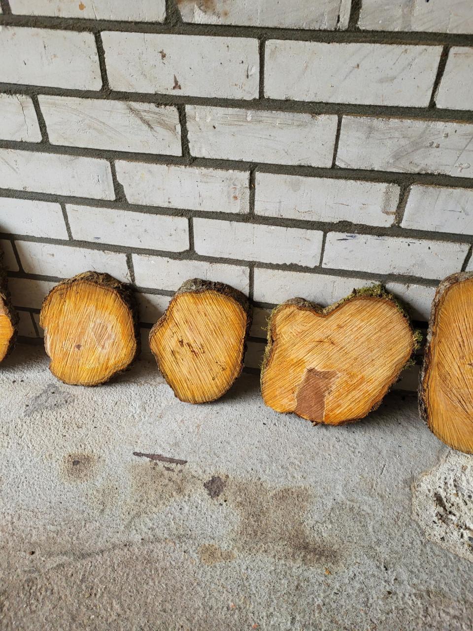 Schijven van perenbomen.