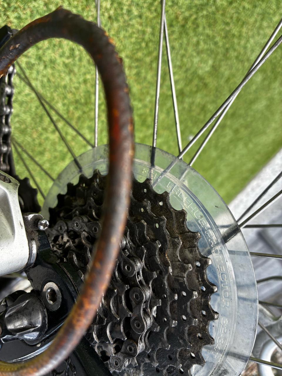 Gazelle LiteLine herenfiets - Full carbon, Shimano Deore 57