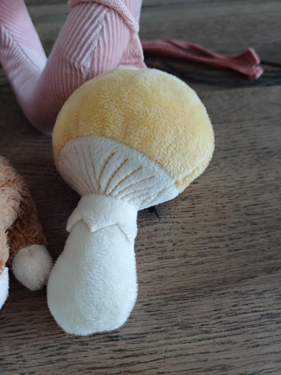 Little Dutch boxspiraal/wagenspanner (Fairy Garden) - €7,50
