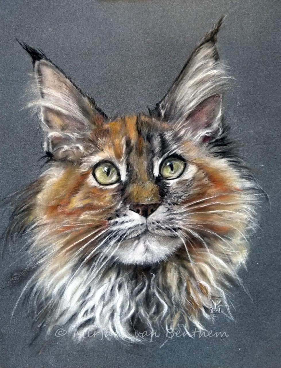 Portret van uw huisdier