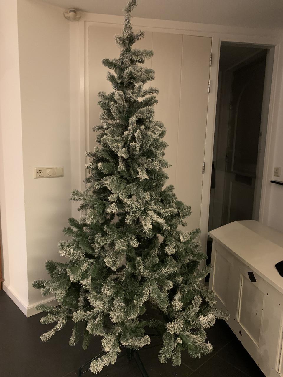 Kerstboom met sneeuw