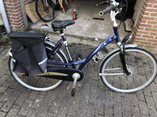 Batavus