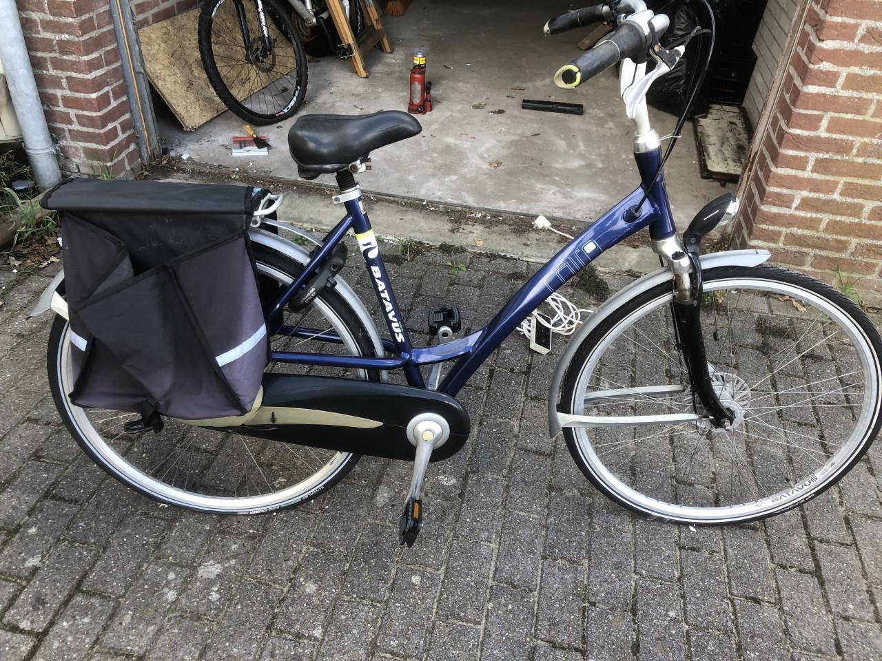 Batavus