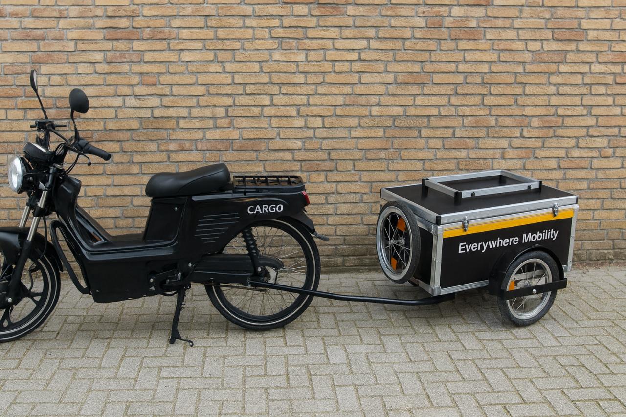 Ontdek de beste fietskarren op de markt  bij  Everywhere Mobility