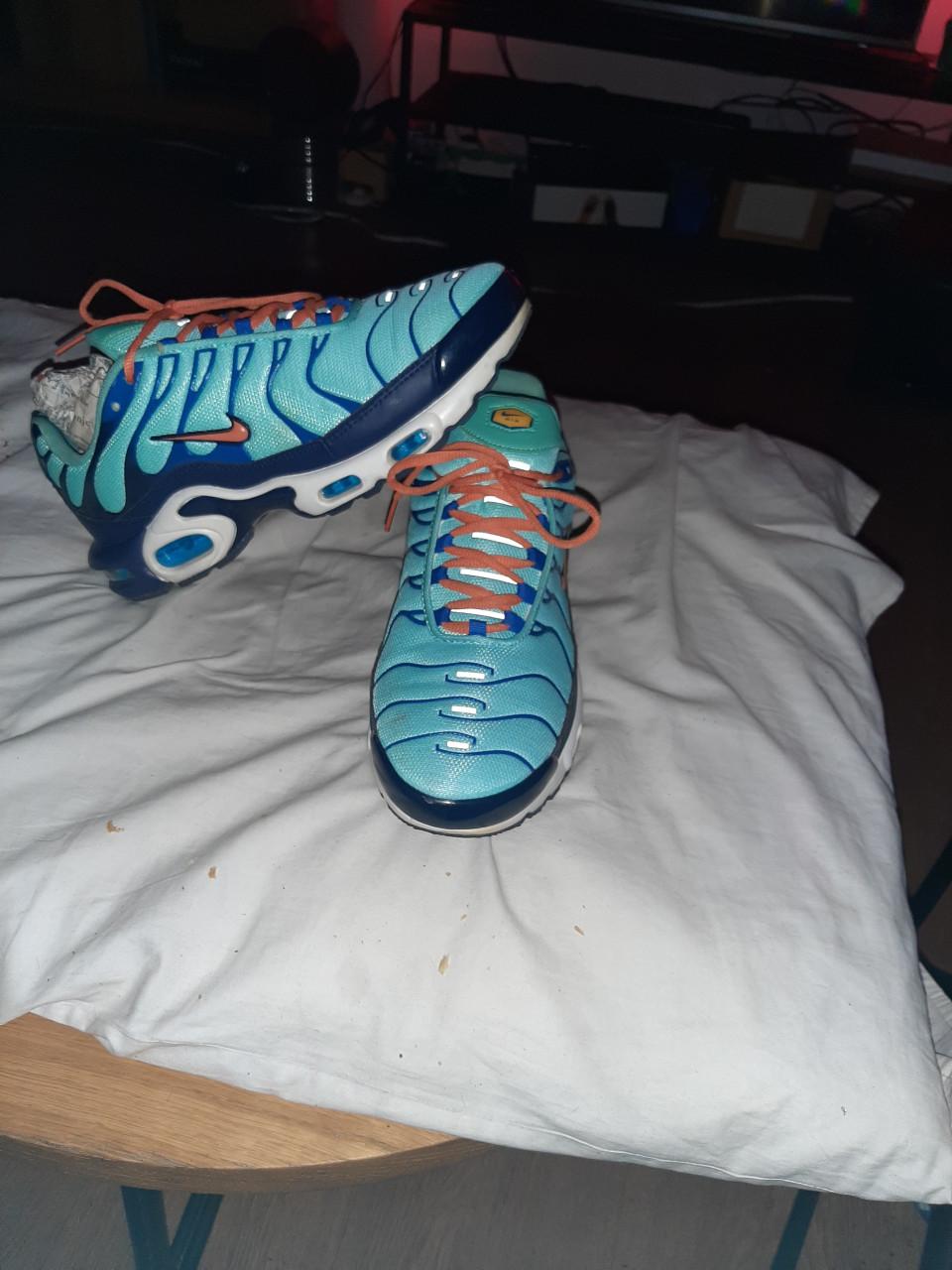 Te koop: nike tn