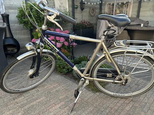 Herenfiets Gazelle chamonix