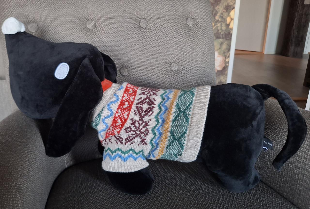 Takkie met kersttrui