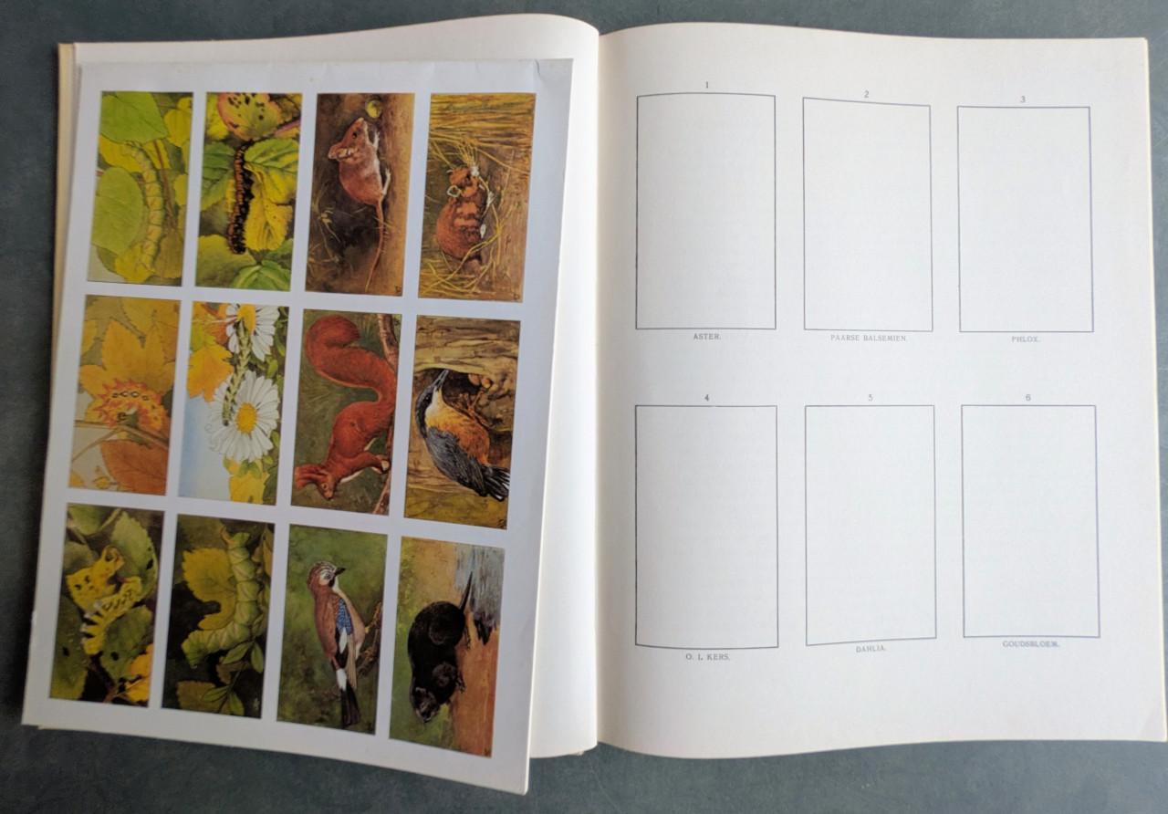 Vier Verkade albums+ bijbehorende plaatjes