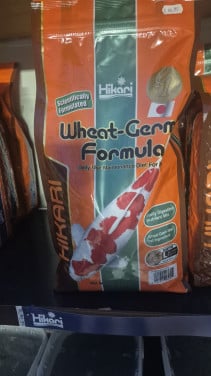 Hikari wheat-germ voer