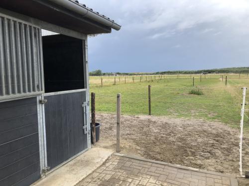 Stalling box met uitloop zandpaddock te huur voor paard of (shetland) pony