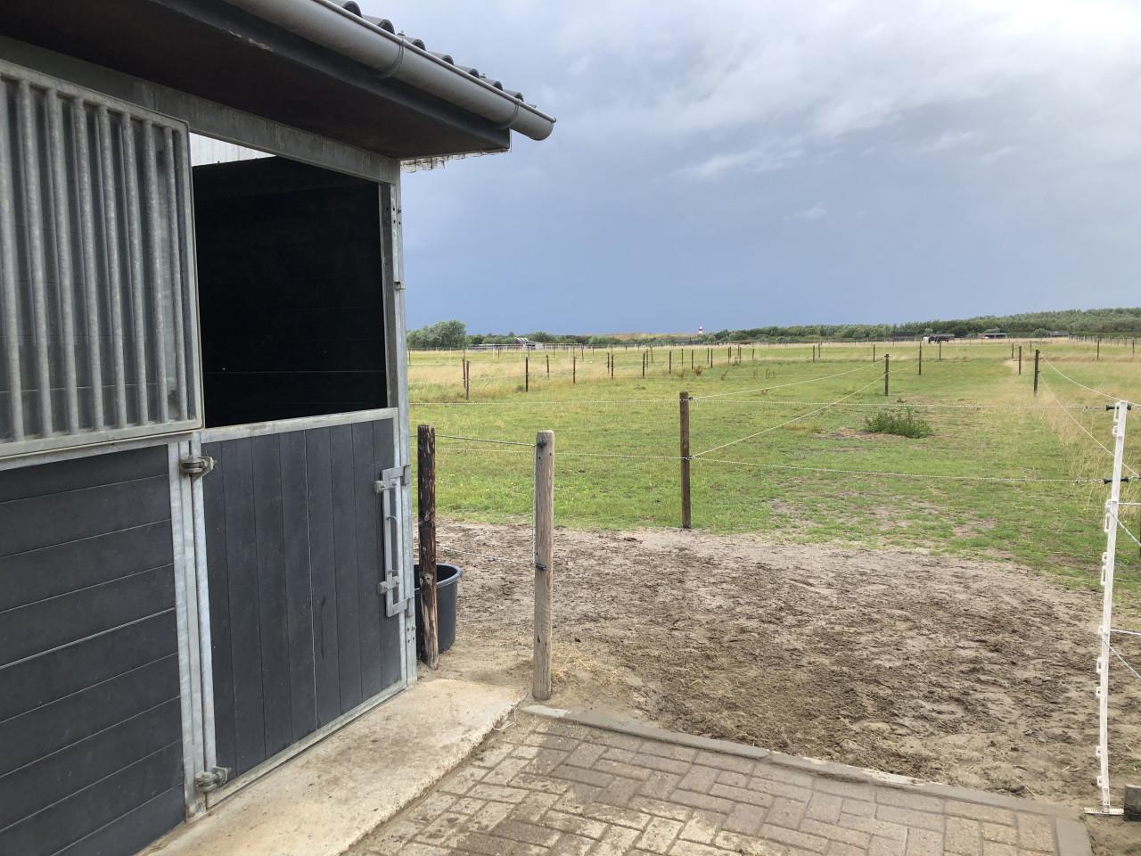 Stalling box met uitloop zandpaddock te huur voor paard of (shetland) pony
