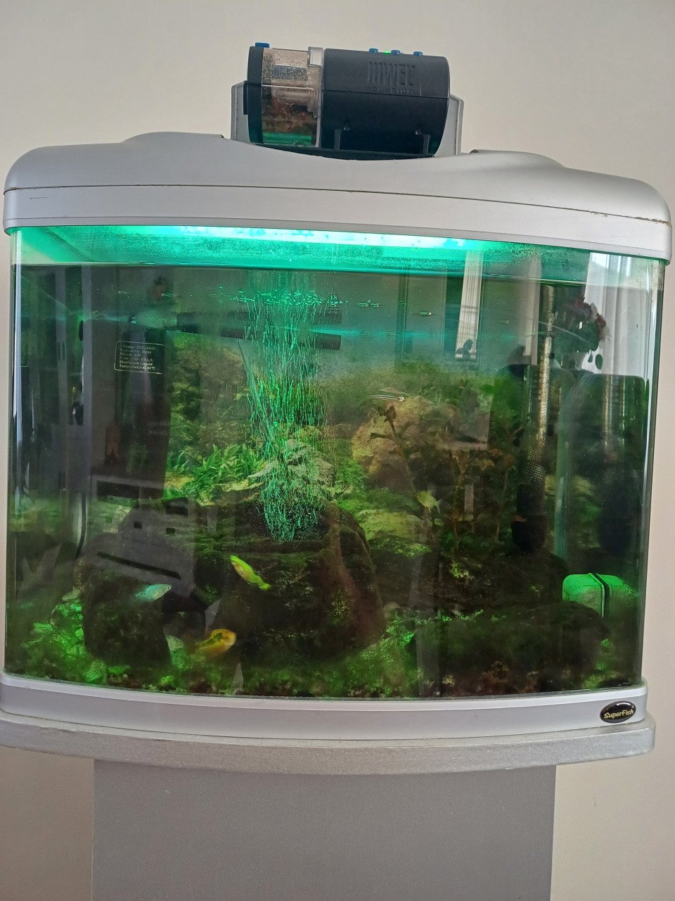 Aquarium met toebehoren