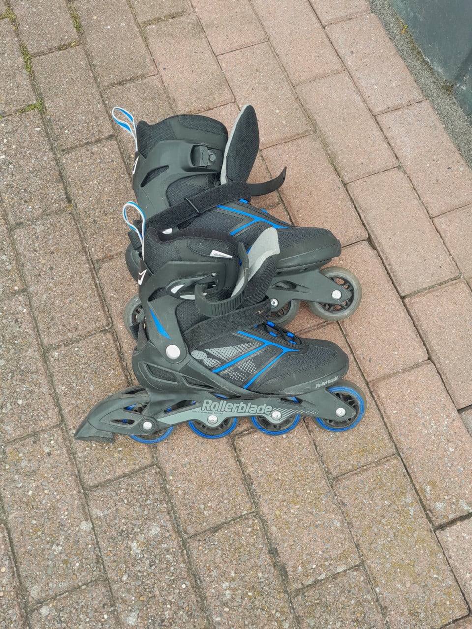 Skeelers, maat 40,5