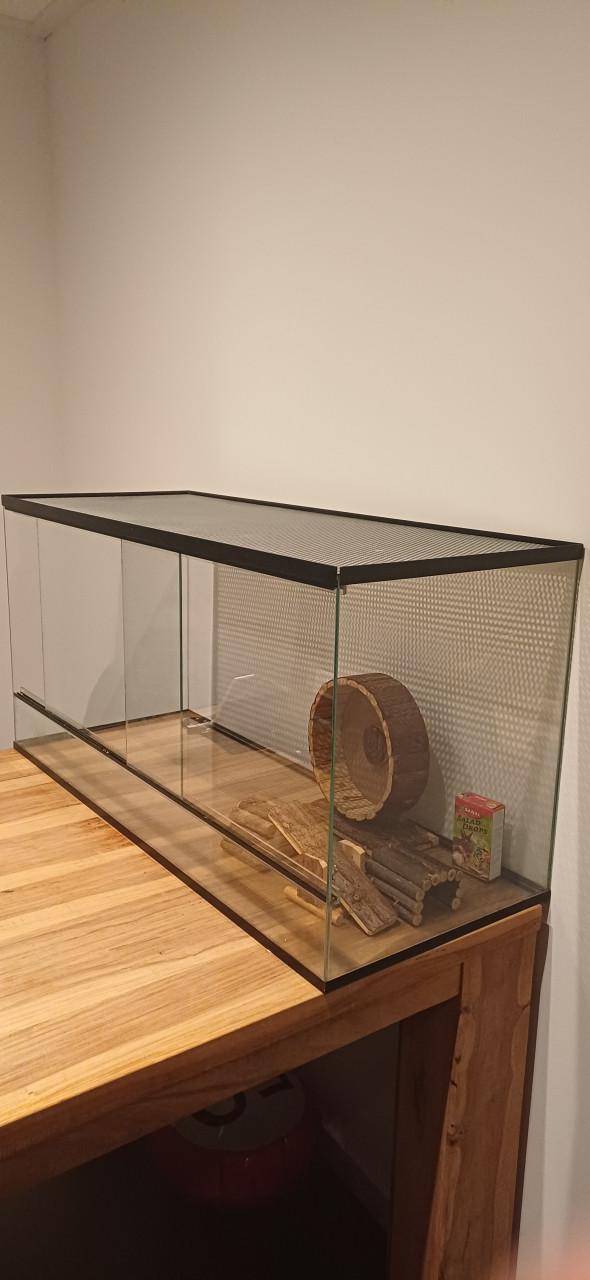 Terrarium voor hamster