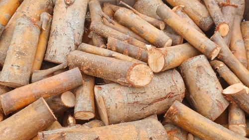 Kist haardhout, gedroogd of vers