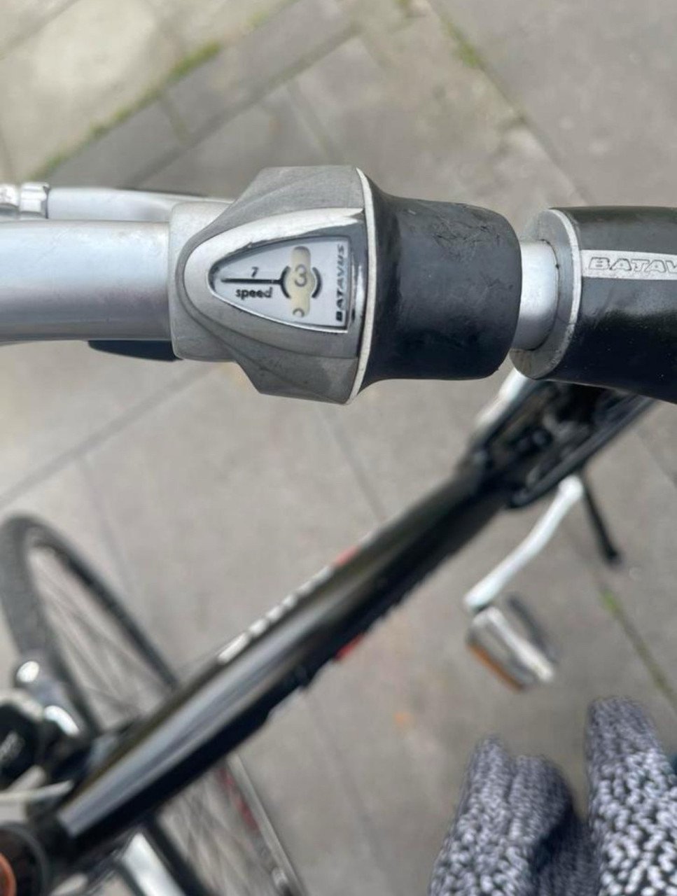 Damesfiets Batavus Mambo