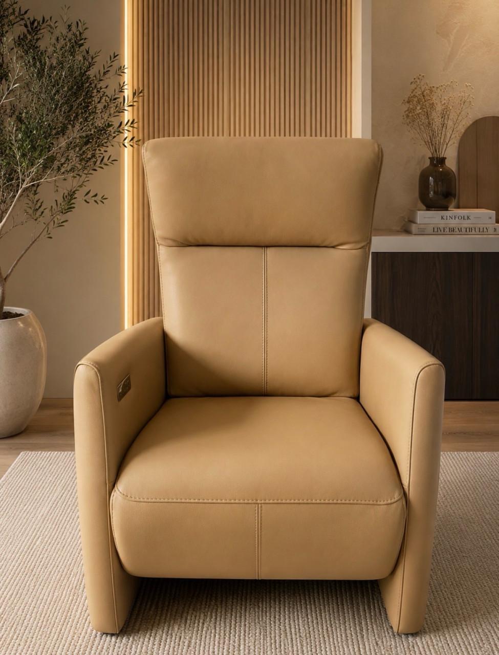 Sta op fauteuil Prominent
