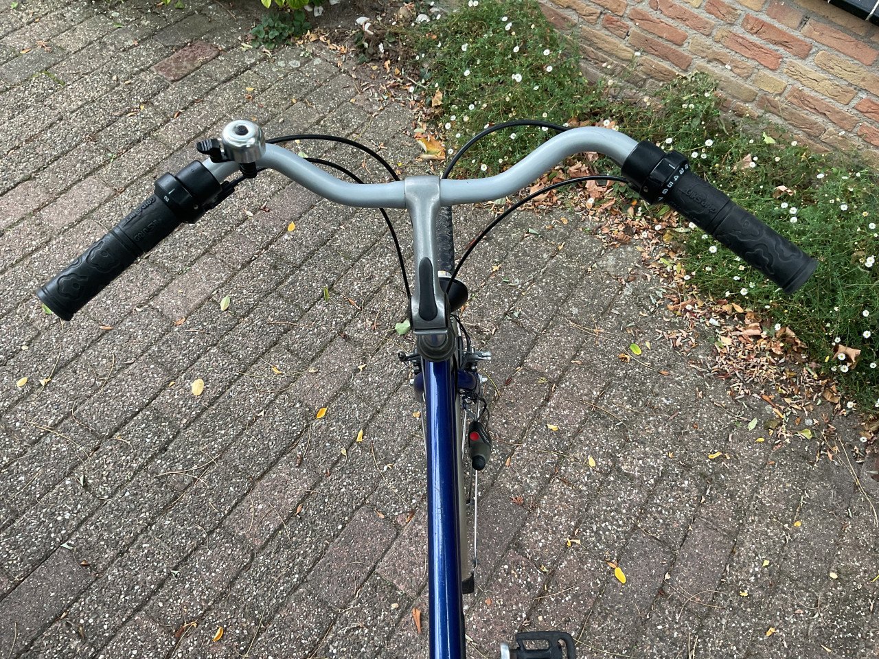 Sportieve Sparta
